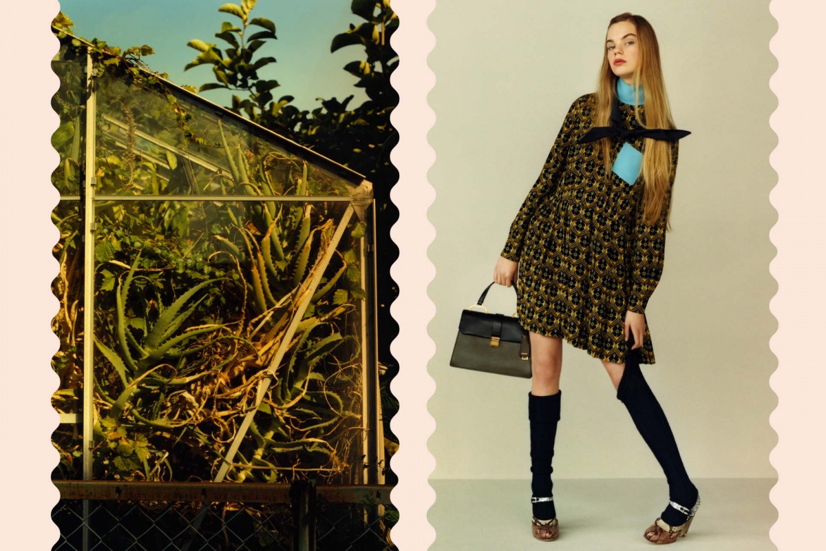 Estella Boersma for Miu Miu Pre-Fall Campaign 2015 photographer Jamie Hawkesworth 