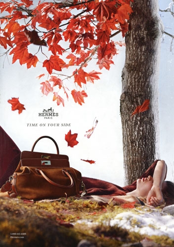 Bette Franke for Hermes Fall campaign 2012 photographer Nathaniel Goldbergh 